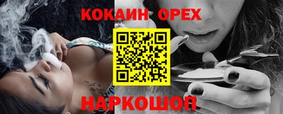 молекула духа Будённовск