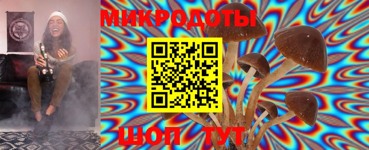 Галлюциногенные грибы мицелий Лесосибирск